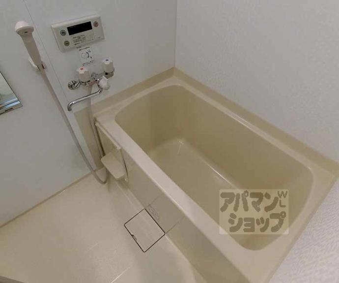 【ｐｉｅｎｉ　ｐｅｓａ】間取