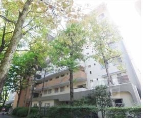 東大路高野第３住宅１５棟：間取図