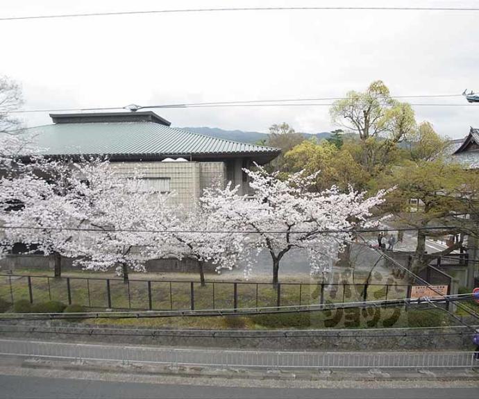 【カーサ桜馬場】間取