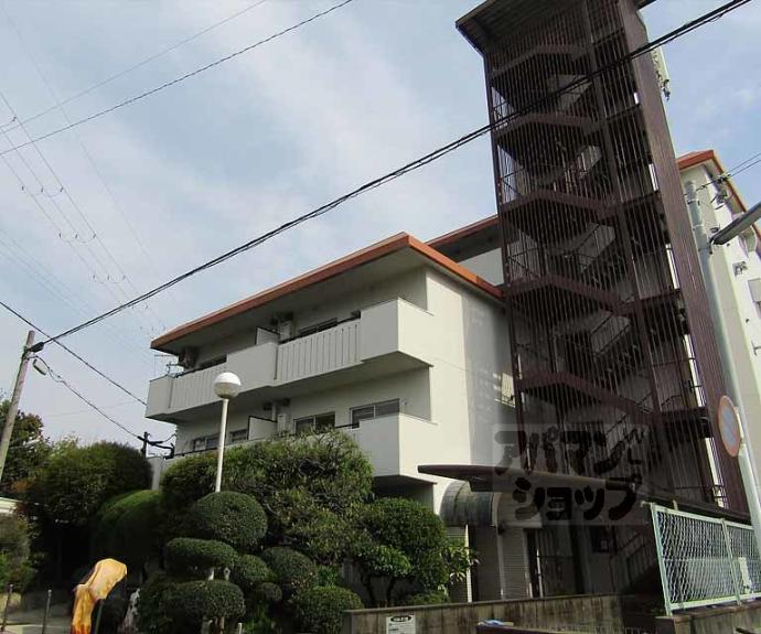 【白川セントラルハイツ】間取