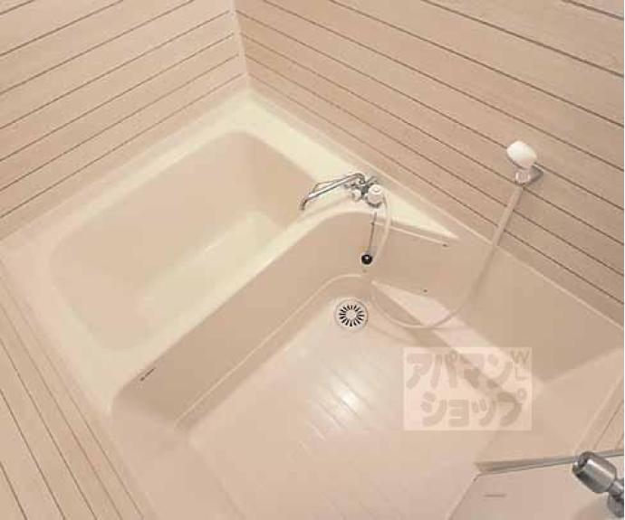 【白川セントラルハイツ】間取