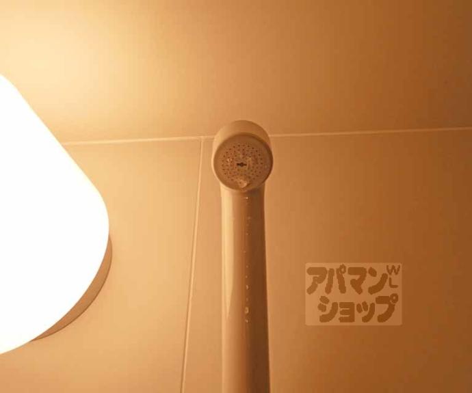 【シェーンブルン】間取