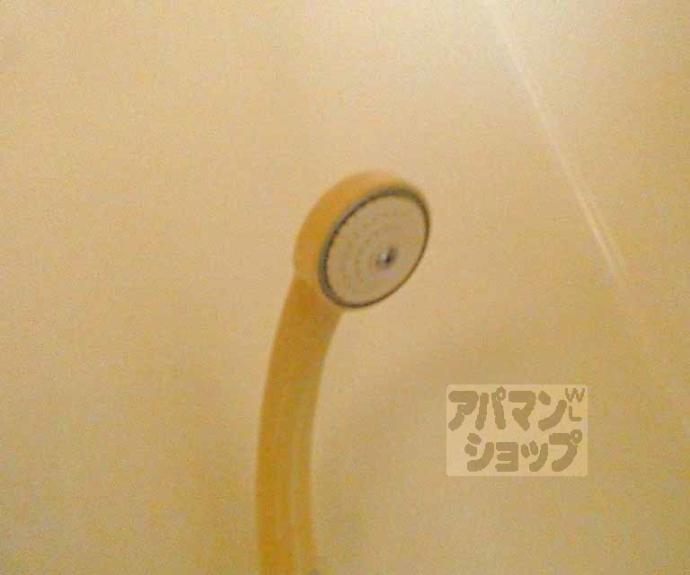 【エクセレントさわらぎⅡ】間取