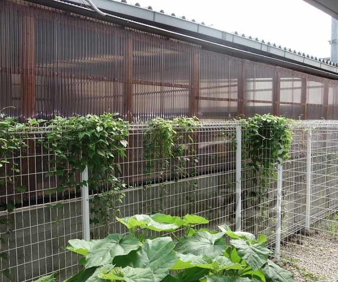 【K’S cube東山】間取