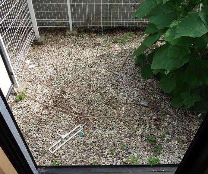 【K’S cube東山】間取