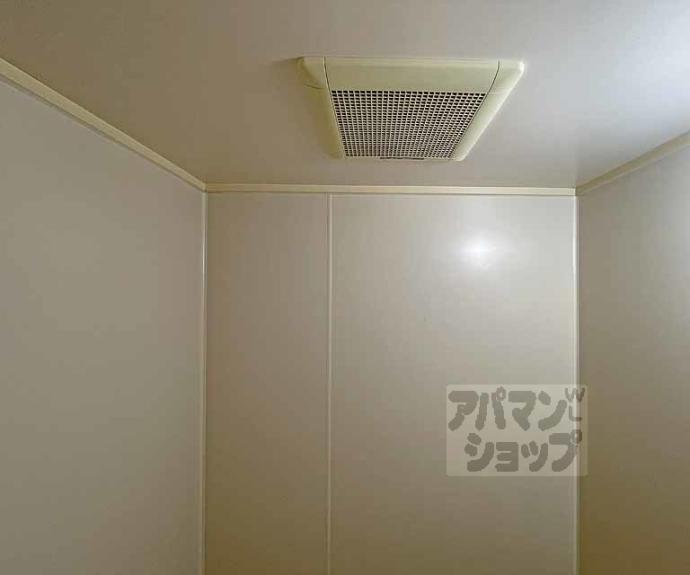 【柳小路】