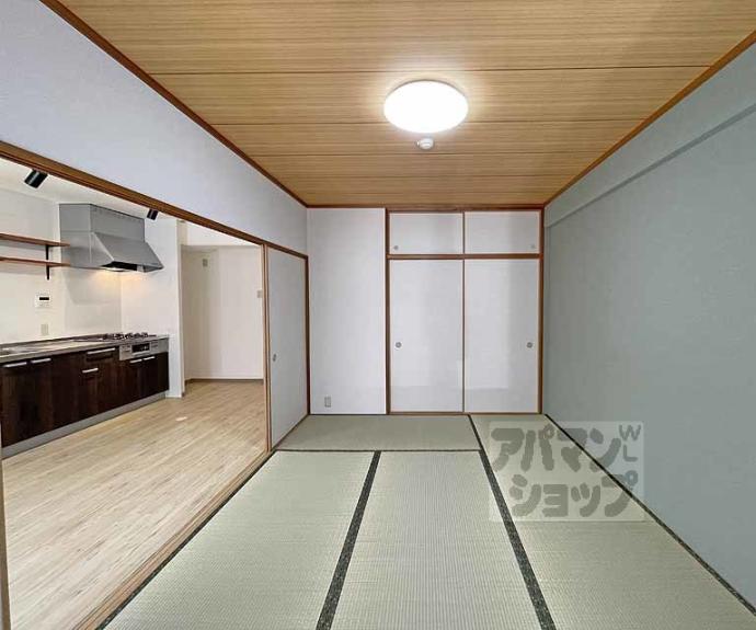 【柳小路】