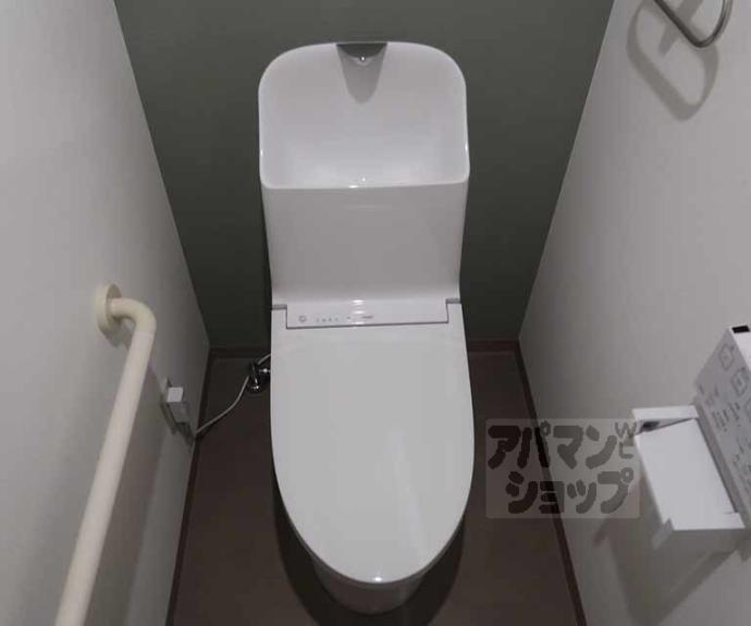 【柳小路】