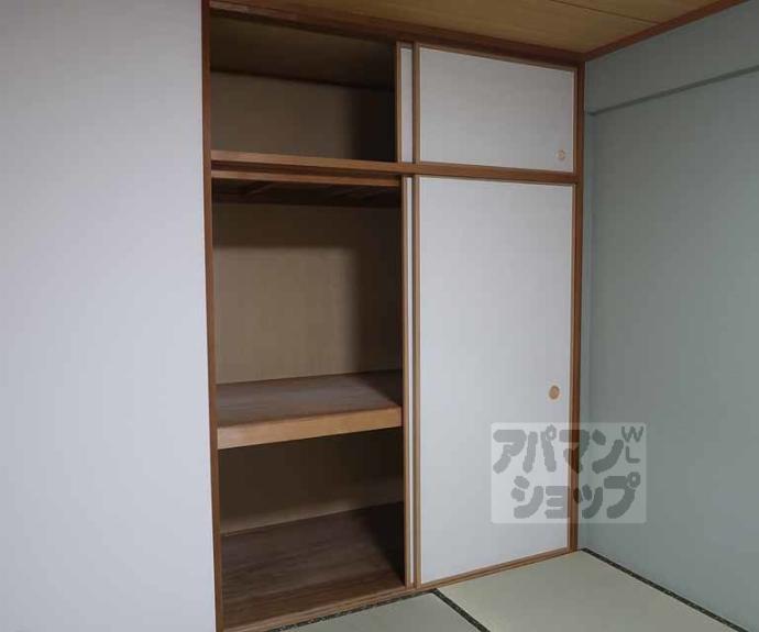 【柳小路】