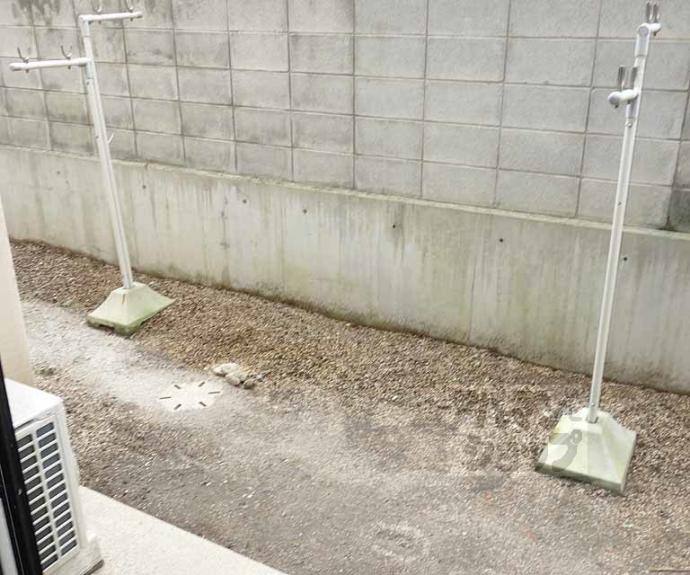 【柳小路】間取