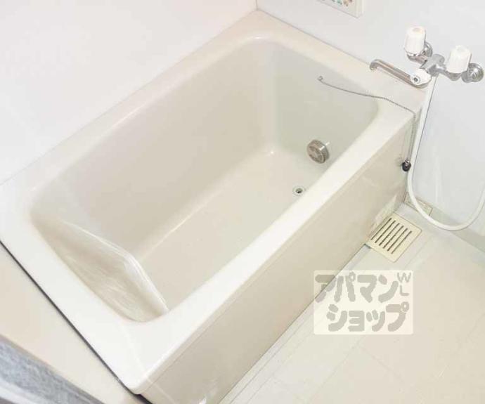 【マンショントシェイレイ】間取