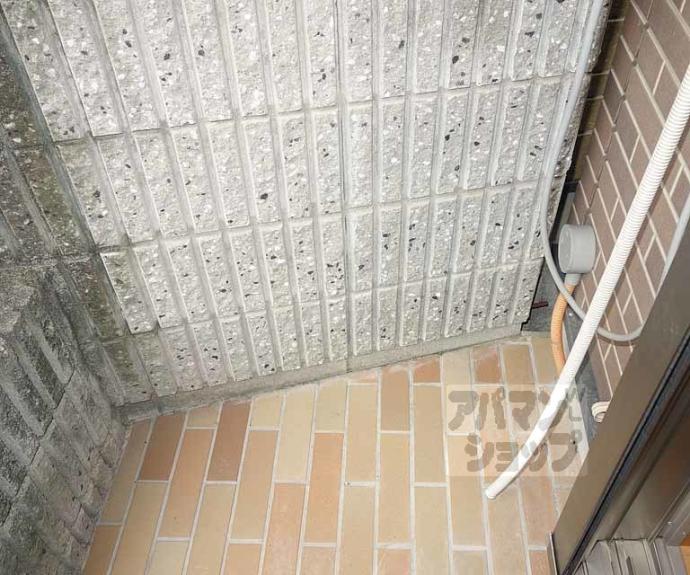 【マンショントシェイレイ】間取