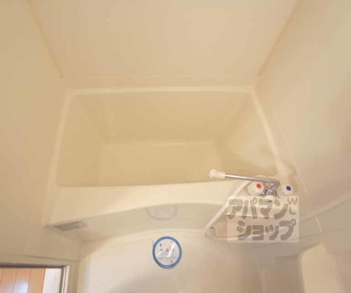 【ザ・ブセナ稲荷新道】間取