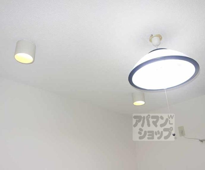 【エクセルワンズ八条】間取