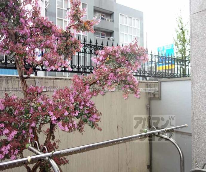 【パインフィールド洛東】間取