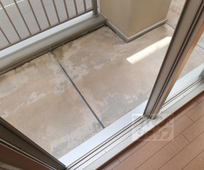 【シュシュパルク六条院】間取