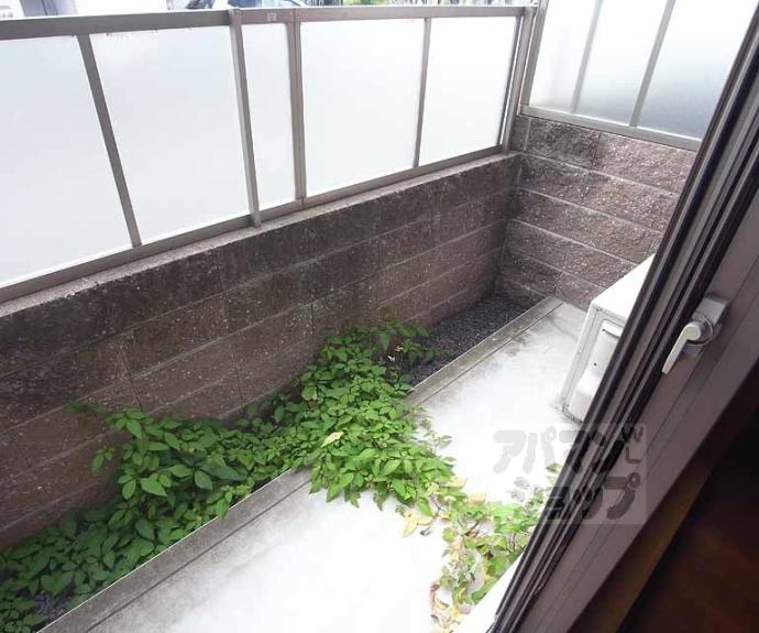 【Belle Maison Grena】間取