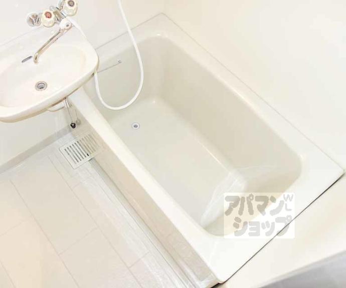 【Whisker31】間取