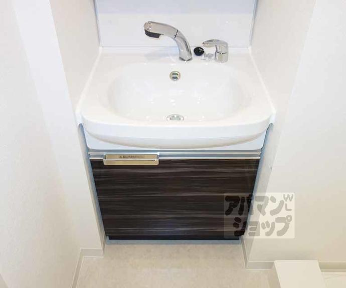 【プレサンス京都洛南】間取