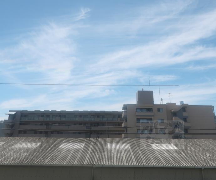 【シエリア京都桂川駅前】間取