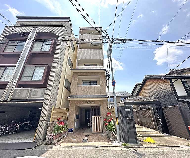 ダリア佐智木村