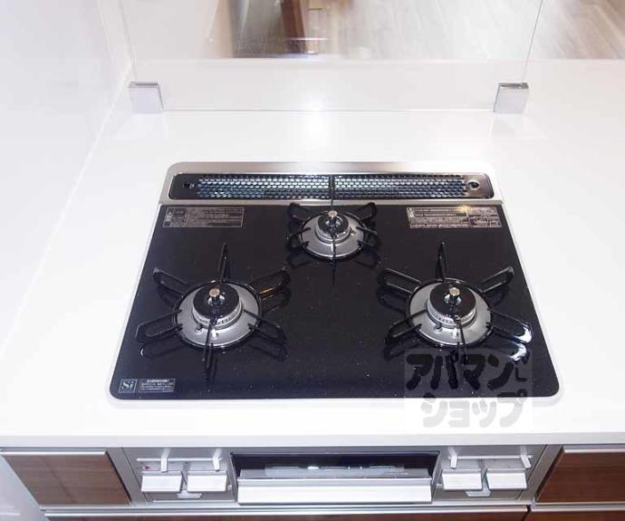 【プレサンスTHE KYOTO 華苑】間取