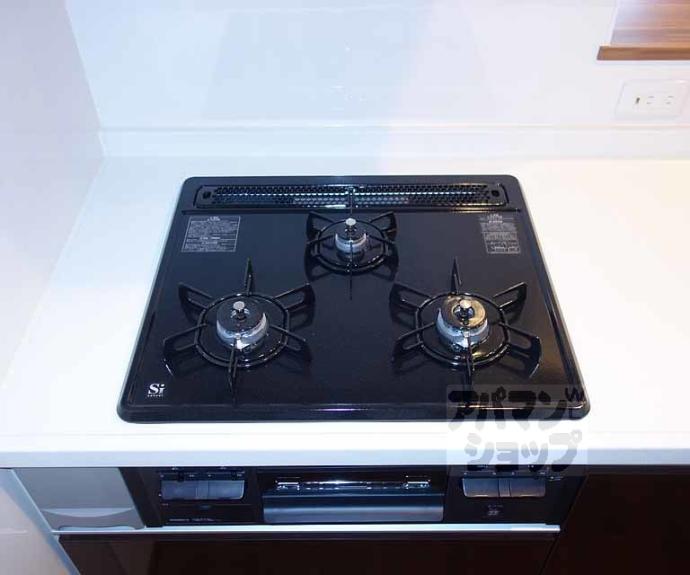 【グランレブリー桂川グレイスレジデンス】間取