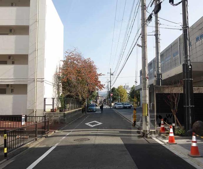 【エステムコート京都東寺　朱雀邸】間取