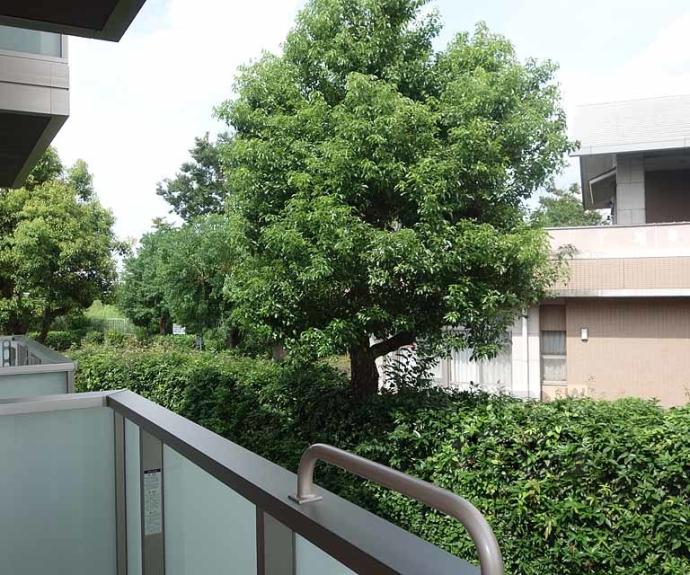 【シャーメゾン東久世】間取