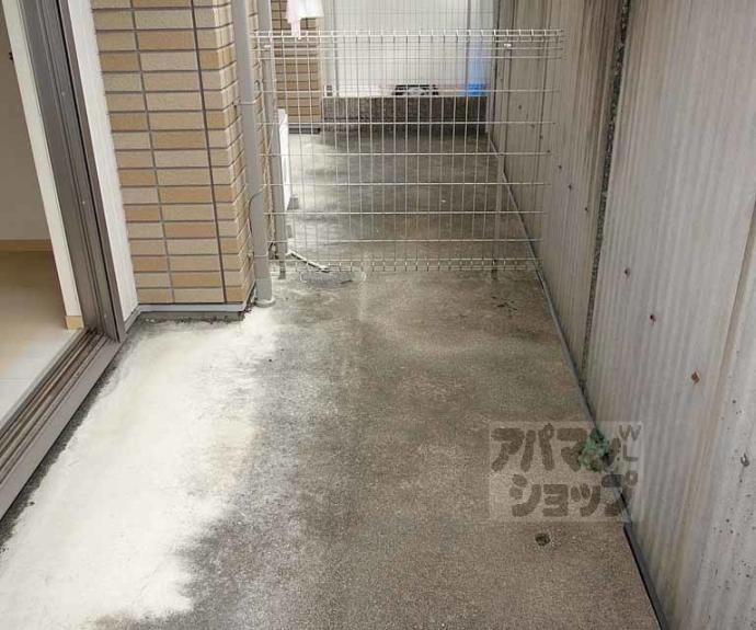 【ベルリード31】間取