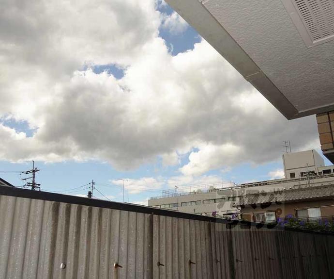 【ベルリード31】間取