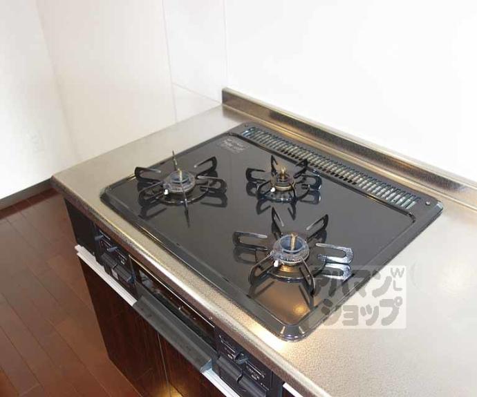 【Blau Berg 西ノ京】間取