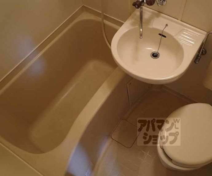 【メゾン伊藤】間取