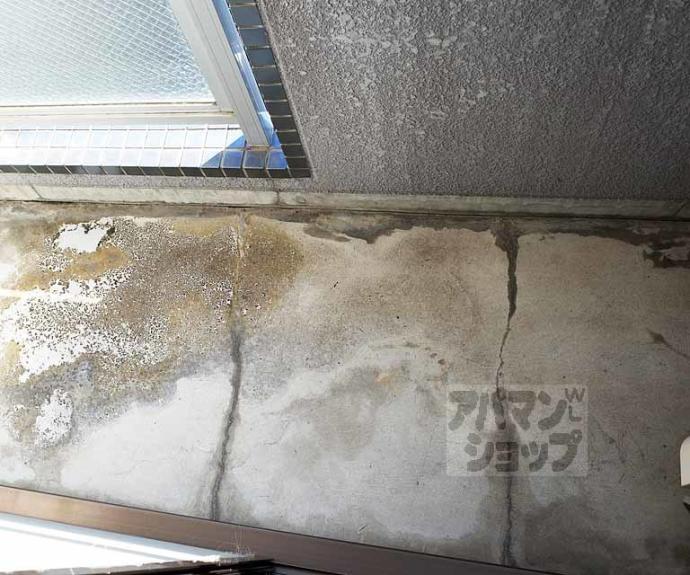 【メゾン伊藤】間取