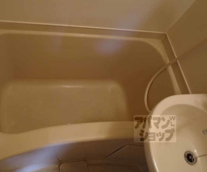 【メゾン伊藤】間取