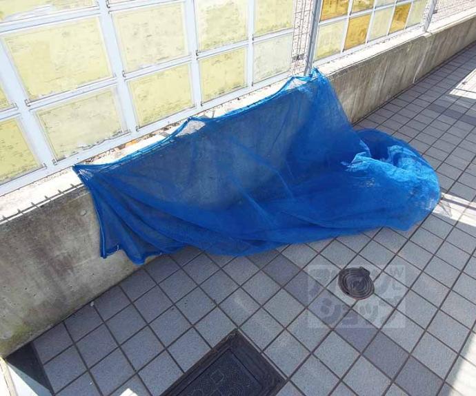【クローネ表町】間取