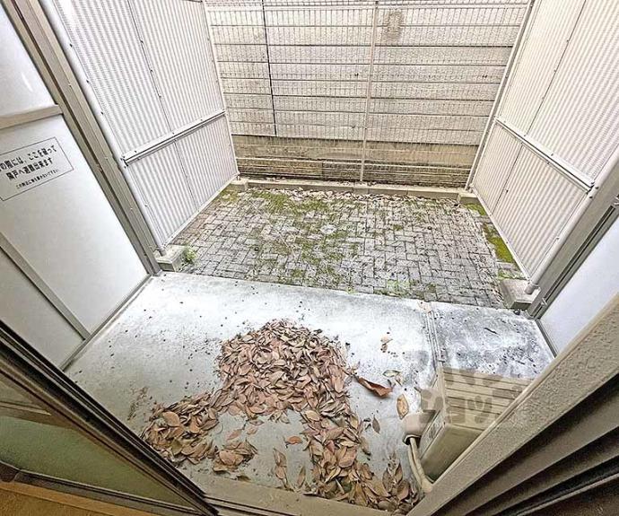 【エベンエゼル三条】間取