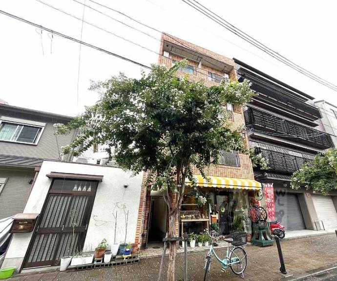 【シャトードミール】間取