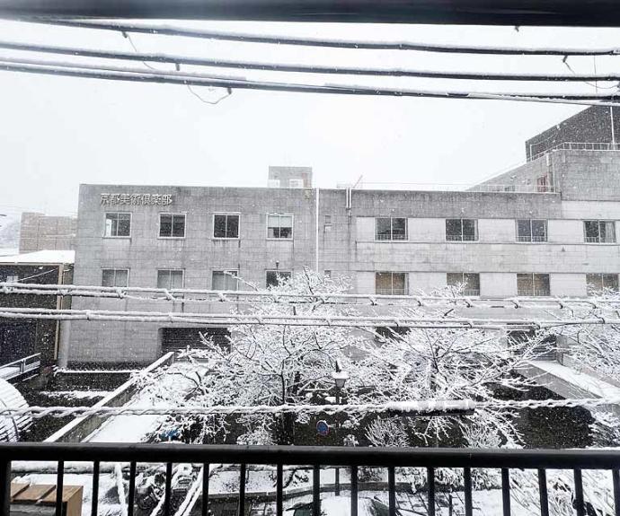 【シャトードミール】間取