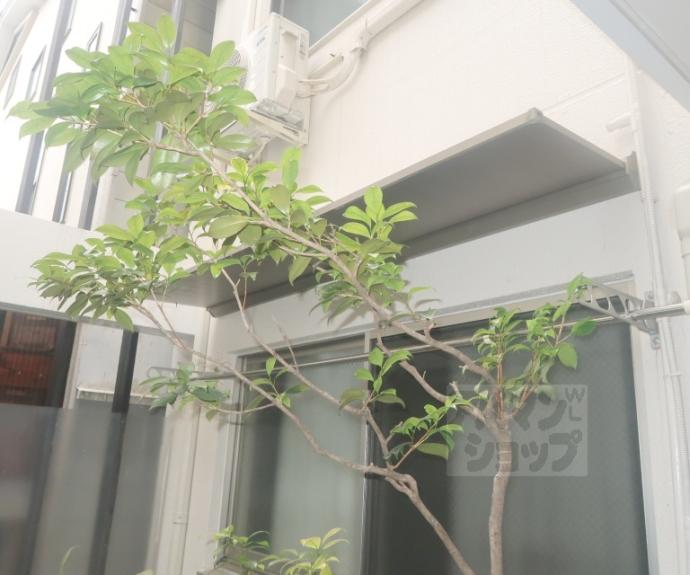 【Park Side Mibu】間取