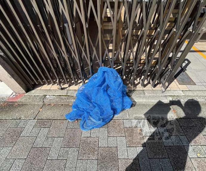 【ジュネス京都】間取