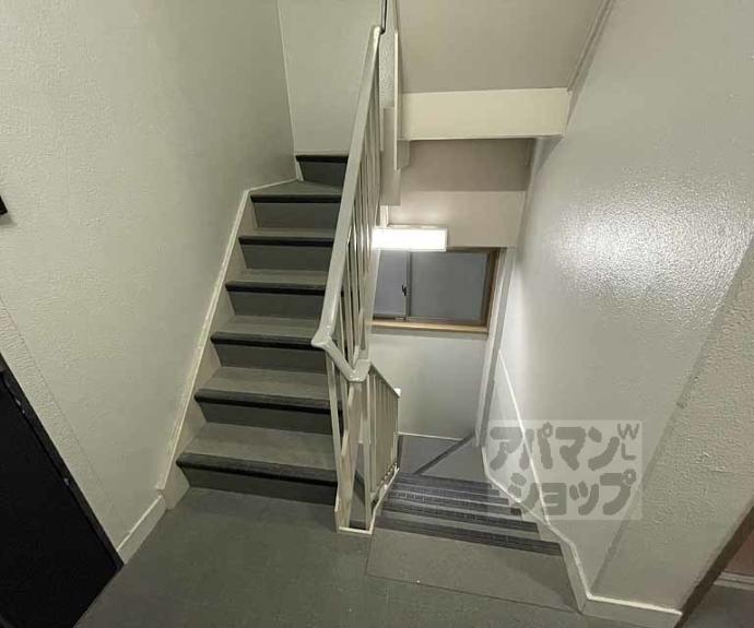 【ジュネス京都】間取