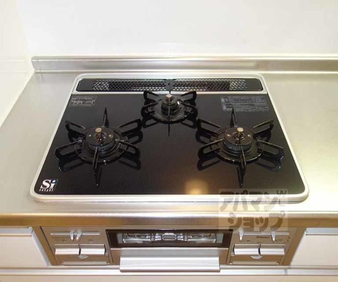 【プラシード鳥羽Ⅰ・Ⅱ】間取