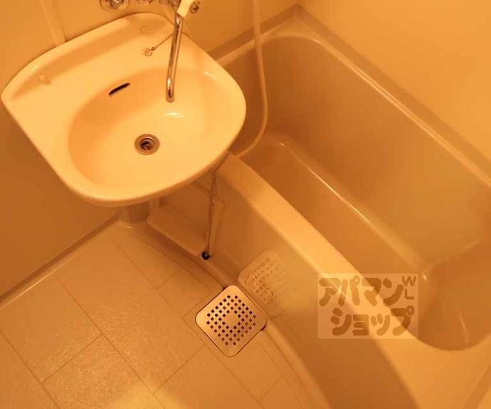 【ウエスティン安朱】間取