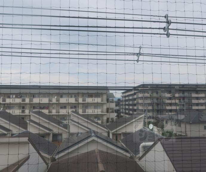 【マンション花川】間取