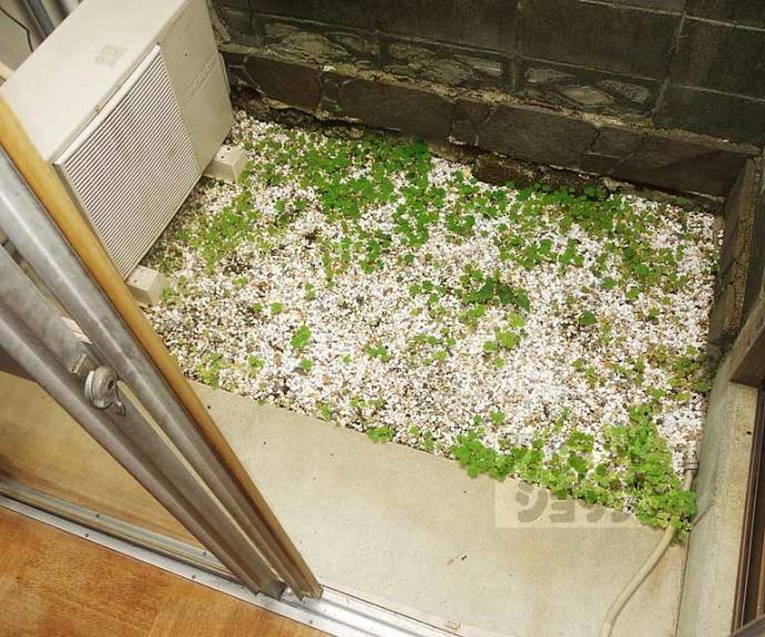 【唐橋琵琶町貸家】間取