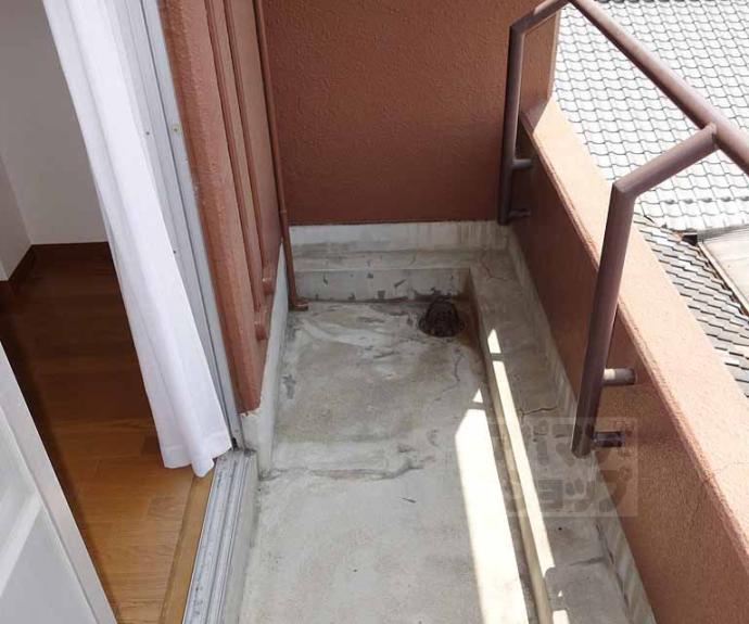 【本町スチューデントハイツ】間取