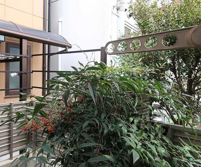 【レーベンⅡ】間取