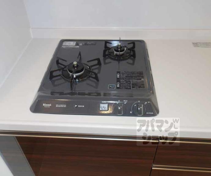 【ベラジオ京都洛南Ⅱ】間取