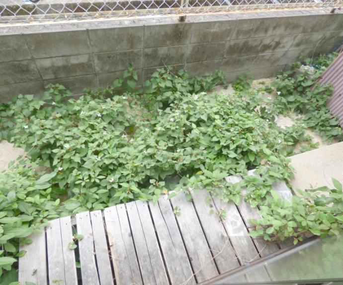 【ひさまつ荘】間取